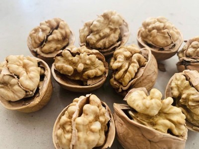 新货新疆特产阿克苏185纸皮核桃手剥大原味孕妇儿童坚果500g图4