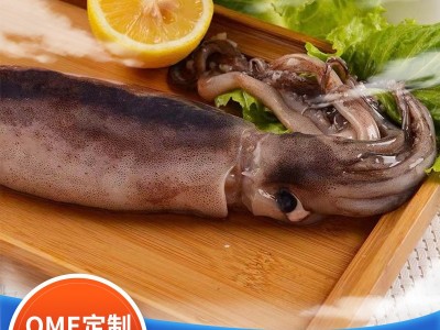 青岛冰鲜鱿鱼整只速冻冰鲜净重大鱿鱼烧烤火锅食材批发一件代发图1