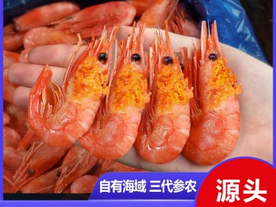 批发北极甜虾头籽北极熊冰虾带籽海鲜水产北极虾整箱速冻甜虾刺身图1