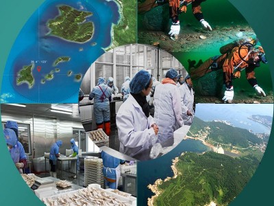 批发北极甜虾头籽北极熊冰虾带籽海鲜水产北极虾整箱速冻甜虾刺身图5