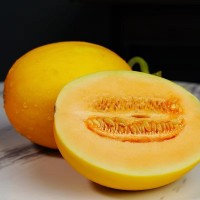 陕西黄金蜜瓜甜香瓜当季新鲜水果阎良甜瓜黄河蜜瓜一件代发