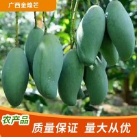 芒果批发广西金煌芒新鲜当季热带水果青芒果园直发