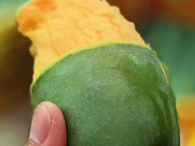 广西百色桂七芒果新鲜当季热带水果青芒礼盒果园直发图2