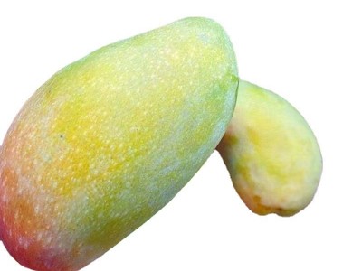 非树上熟贵妃芒海南贵妃芒果新鲜水果当季装红金龙甜心热带大芒果图5