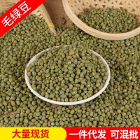 东北毛绿豆批发农家绿豆小粒笨绿豆类新货煮粥五谷杂粮量大从优