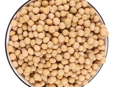 供应东北大豆 农家自产粗粮黄豆 五谷杂粮豆浆豆腐原料散装批发图5
