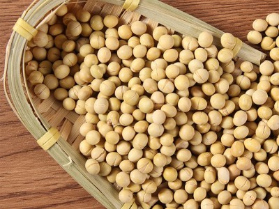供应东北大豆 农家自产粗粮黄豆 五谷杂粮豆浆豆腐原料散装批发图3
