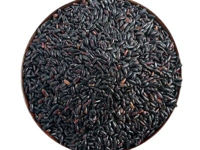 厂家批发五常黑米 低温烘焙黑米五谷杂粮豆浆原料黑米袋装1kg批发图5