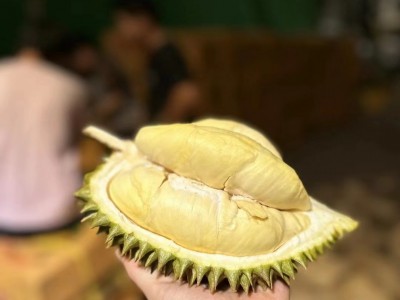 金枕榴莲泰国原产进口新鲜水果新鲜带壳整个装代发图2