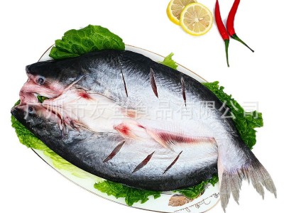 烤鱼专用越南腌制开背巴沙鱼 开背湄公鱼宁波鱼批发700/900/1100图4