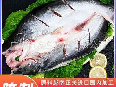 烤鱼专用越南腌制开背巴沙鱼 开背湄公鱼宁波鱼批发700/900/1100图5