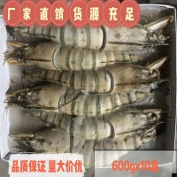 新鲜速冻黑虎虾冷冻水产海鲜批发新鲜活速冻特大老虎虾600g