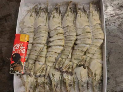 新鲜黑虎虾超大冷冻黑虎虾老虎虾鲜活速冻斑节虾1000gx10盒图4