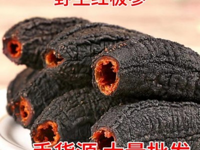 加拿大北极红参淡干红极参干货圆筒正品野生500g海参批发工厂家用图4