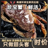 珍宝蟹鲜活面包蟹特大超大螃蟹海鲜水产进口新鲜黄金蟹公蟹肉蟹