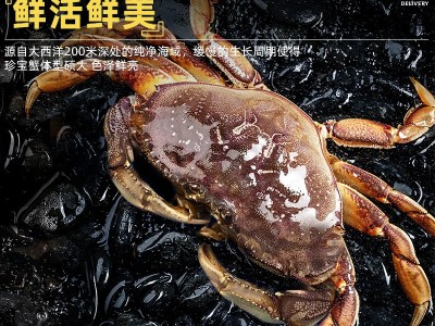 珍宝蟹鲜活面包蟹特大超大螃蟹海鲜水产进口新鲜黄金蟹公蟹肉蟹图3