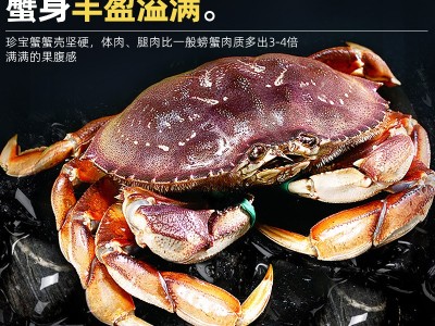 珍宝蟹鲜活面包蟹特大超大螃蟹海鲜水产进口新鲜黄金蟹公蟹肉蟹图4