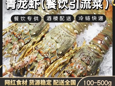 海鲜大花龙虾波龙鲜活冷冻水产特大龙虾深海虾小青龙花龙虾图5