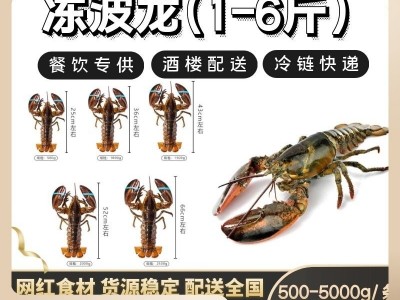 波士顿龙虾大龙虾波龙波虾澳龙网红海鲜水产食材鲜活速冻冷冻熟冻图2