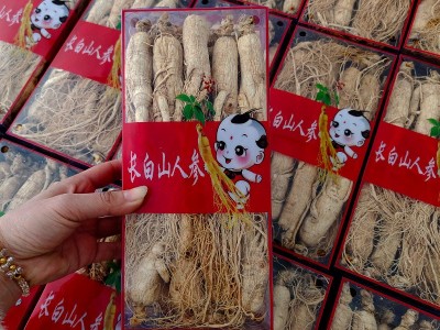 供应东北特产 各规格长白山人参干 整枝盒装白参 人参图3
