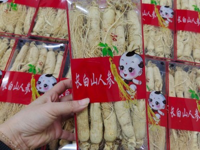 供应东北特产 各规格长白山人参干 整枝盒装白参 人参图2