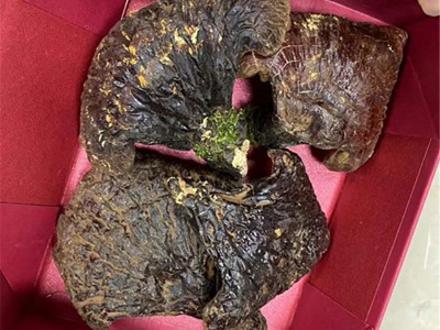 产地货源 长白山深山灵芝片 赤灵芝切片 竹芝 散装 东北灵芝批发图3