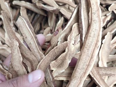 批发东北吉林长白山赤灵芝散装灵芝片煲汤泡酒送礼源头直发中药材图3