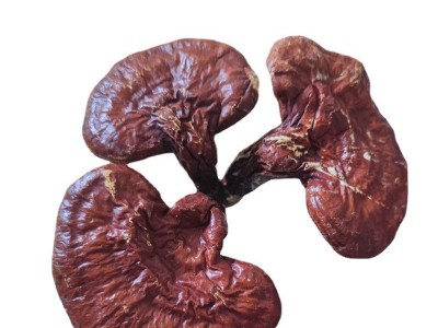 批发东北吉林长白山赤灵芝散装灵芝片煲汤泡酒送礼源头直发中药材图5