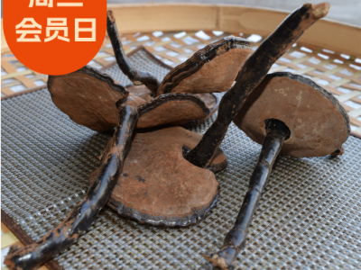农产品500g椴木紫灵芝 不苦带粉长脚黑灵芝 干货特产10cm长柄灵芝图4