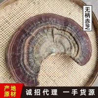 森林之爱野生无柄赤芝红块灵芝批发泡酒煮茶一斤装无蒸煮无熏硫