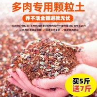 多肉土专用营养土颗粒肉肉植物铺面石种植土透气防烂根老桩控养