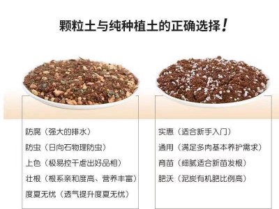 多肉土专用营养土颗粒肉肉植物铺面石种植土透气防烂根老桩控养图2