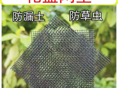 通用花盆垫片塑料多肉绿植盆栽摆摊园艺用品神器多肉植物大号花瓶图3