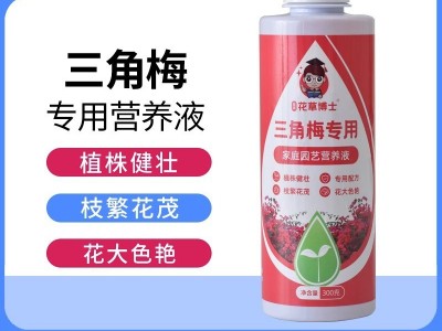 花草博士三角梅专用营养液植物营养液盆栽家用花卉养花促花肥料图3