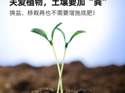 40斤通用型营养土花盆种植专用土花卉绿植种植土泥炭土有机土多肉图3