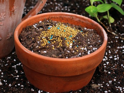 奥绿肥缓释肥1号生长通用5号养花肥料A2月季318s专用颗粒促开花肥图3