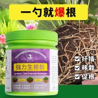 生根粉植物通用型水培绿植花卉盆栽摆摊花盆鲜花花瓶多肉专用大号