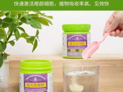 生根粉植物通用型水培绿植花卉盆栽摆摊花盆鲜花花瓶多肉专用大号图4