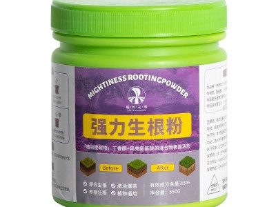 生根粉植物通用型水培绿植花卉盆栽摆摊花盆鲜花花瓶多肉专用大号图3