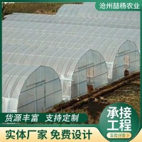 新型智能温室大棚 暖棚 大棚骨架钢管全套 农业温室