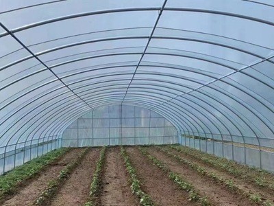 新型智能温室大棚 暖棚 大棚骨架钢管全套 农业温室图4