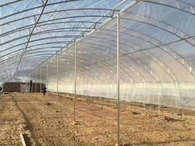 新型智能温室大棚 暖棚 大棚骨架钢管全套 农业温室图2