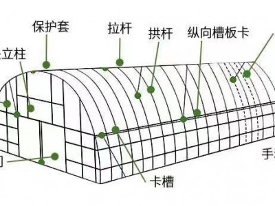 新型智能温室大棚 暖棚 大棚骨架钢管全套 农业温室图5