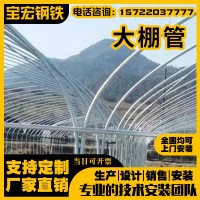 温室养殖大棚外遮阳蔬菜种植拱棚畜牧蔬果种植家用户外大棚大棚管