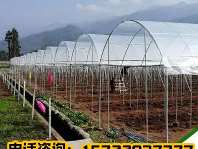 温室养殖大棚外遮阳蔬菜种植拱棚畜牧蔬果种植家用户外大棚大棚管图3