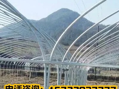 温室养殖大棚外遮阳蔬菜种植拱棚畜牧蔬果种植家用户外大棚大棚管图4