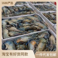 1000g大河虾罗氏虾大头虾10头1斤鲜虾活虾速冻罗氏虾火锅 海鲜批发