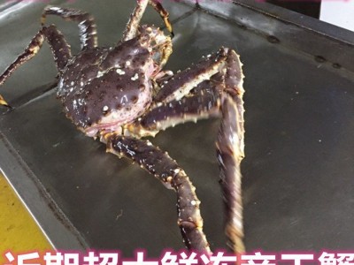 帝王蟹海鲜鲜活10斤大皇帝蟹长脚蟹3-9斤/只顺丰厂家独立站批发图3