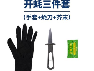 【包邮5斤装(净重4斤)】乳山鲜活生蚝海蛎子 大牡蛎稳定货源批发图4