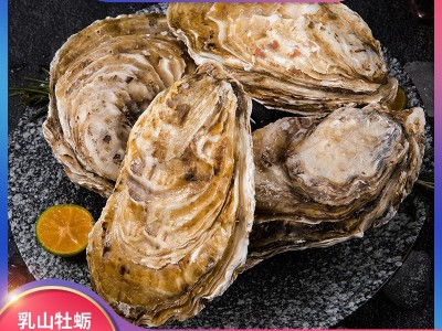乳山生蚝牡蛎鲜活海蛎子自助海鲜烧烤夜市小吃摊生蚝批发一件代发图3
